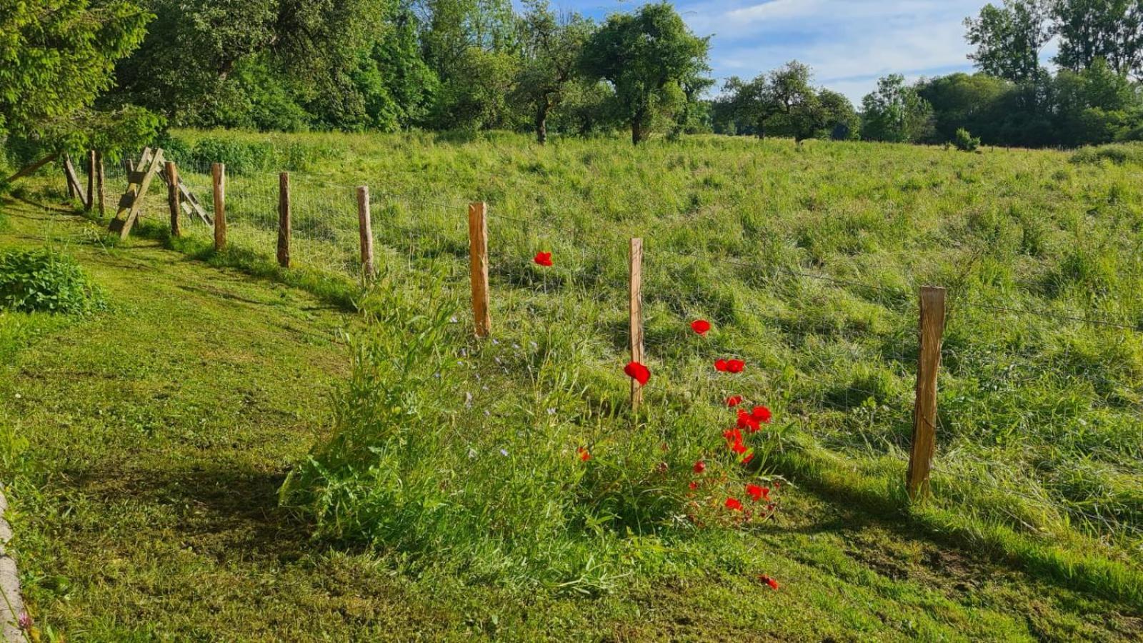 Sous Le Saule Διαμέρισμα Nods Εξωτερικό φωτογραφία