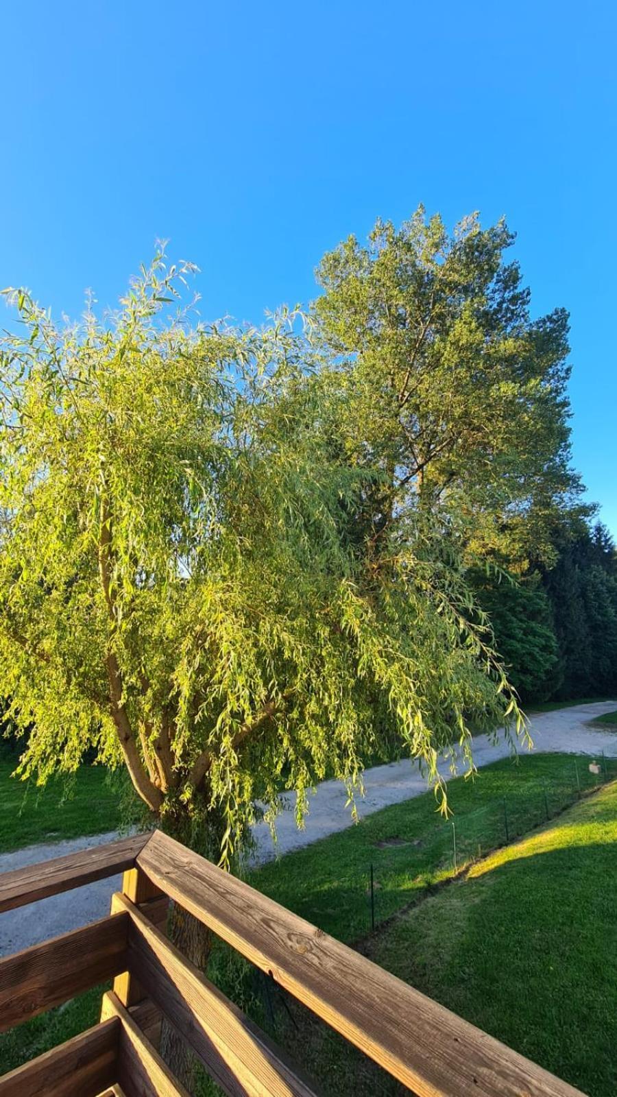 Sous Le Saule Διαμέρισμα Nods Εξωτερικό φωτογραφία