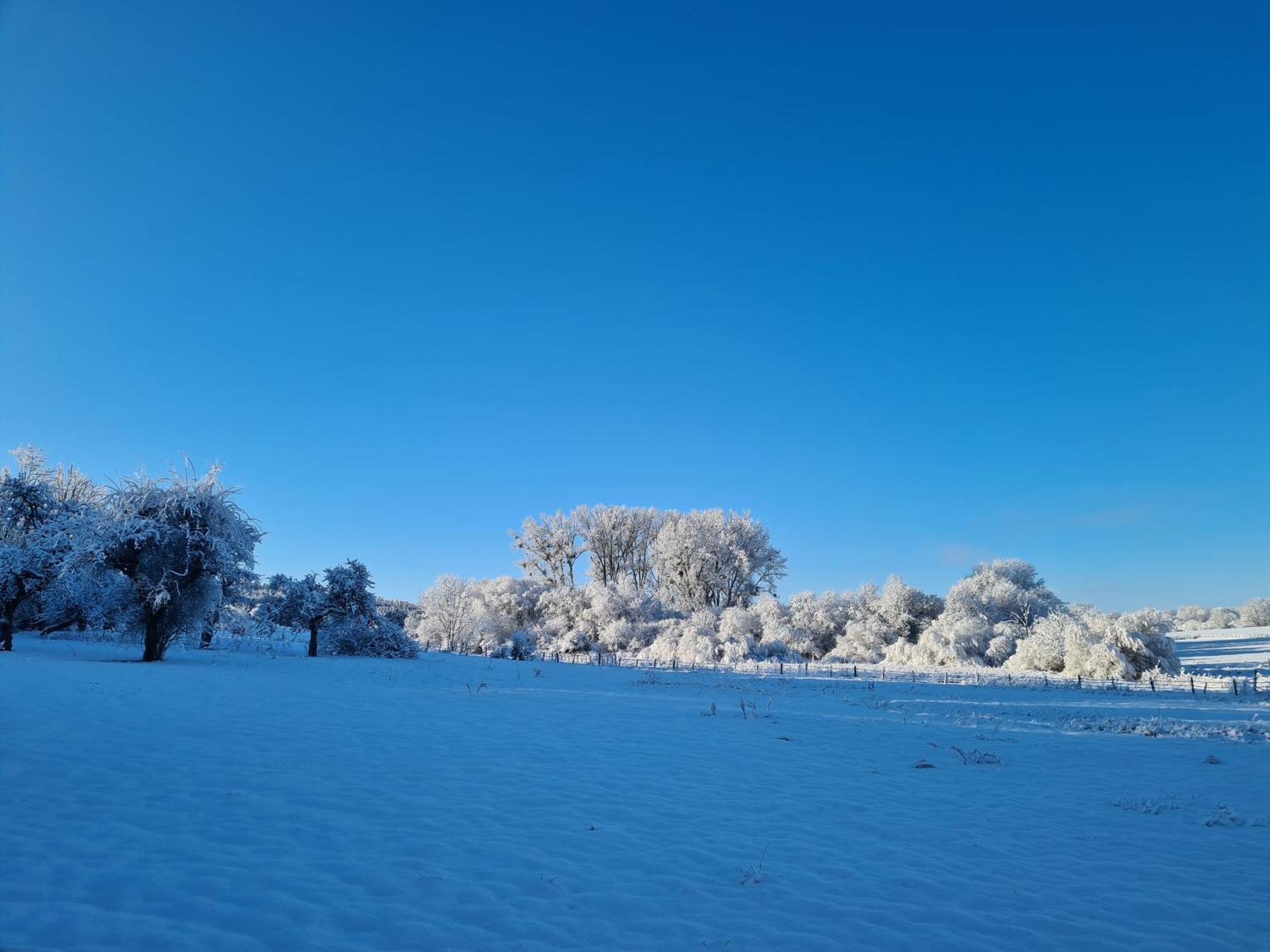 Sous Le Saule Διαμέρισμα Nods Εξωτερικό φωτογραφία